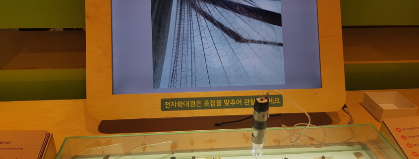 국립과학관 곤충 표본샘플
